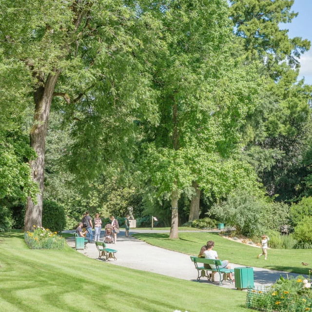 Jardin des plantes