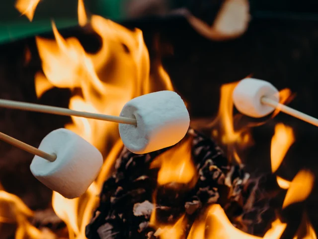 Chamallow au feu de camp