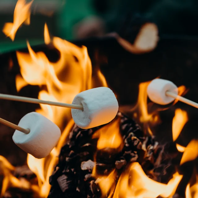 Chamallow au feu de camp