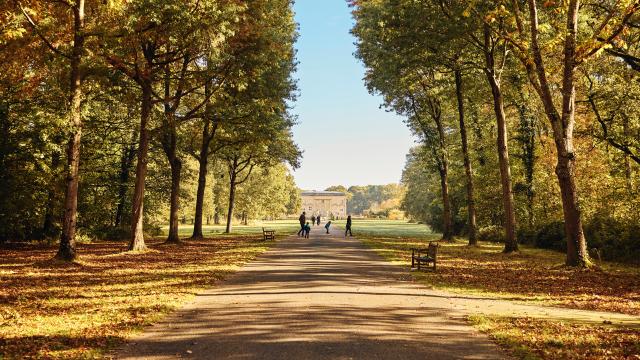 Plan large d'une allée du parc de Pignerolle