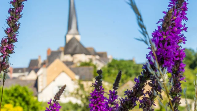 Eglise de Baugé-en-Anjou