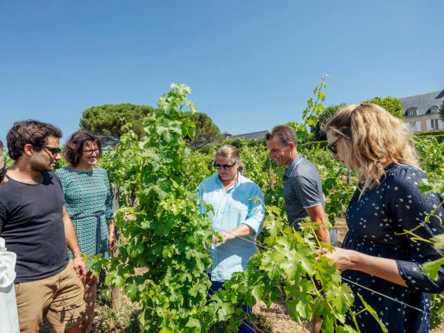 Vignes Savennieres Christophe Martin