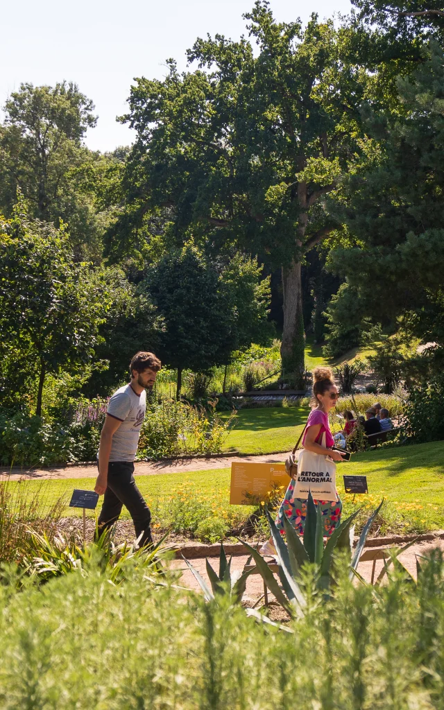 The Camifolia garden