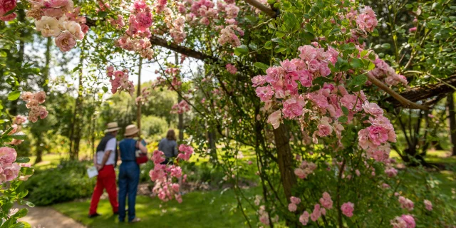 Parc de Courcilpleu. Parc dédié a la rose a Doué la Fontaine.