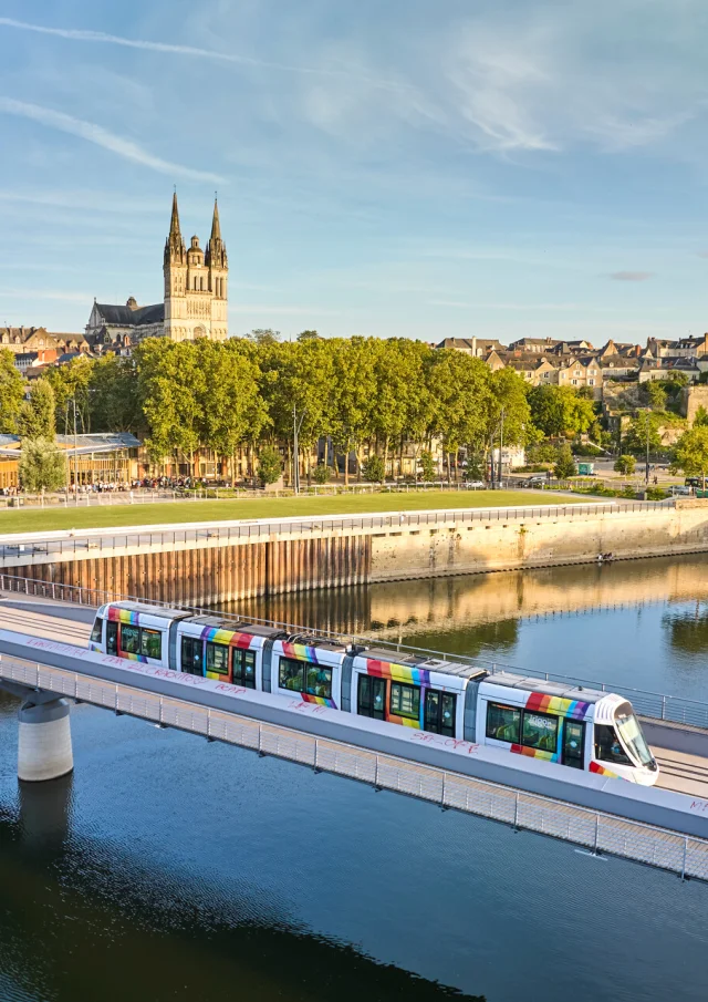 Vue aérienne sur Angers depuis la Maine