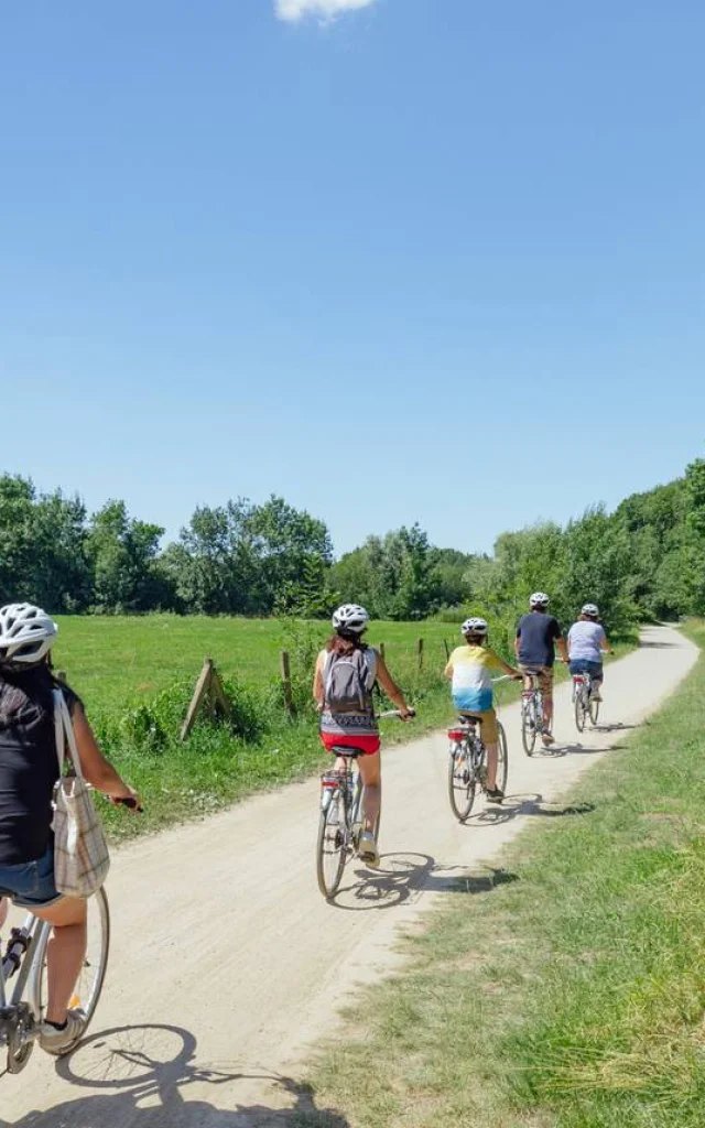 Balade à vélo en famille