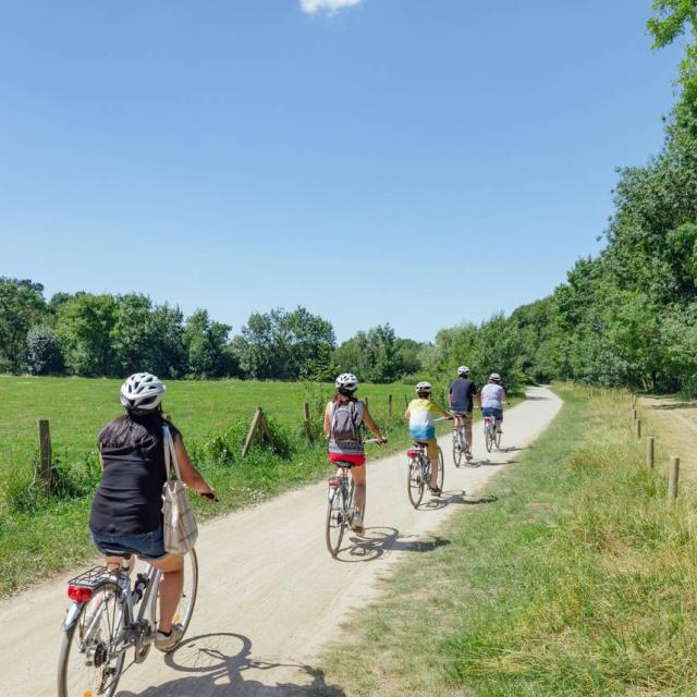 Balade à vélo en famille