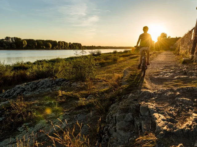 Cycling along the Loire à Vélo in Saintes-Gemmes-sur-Loire