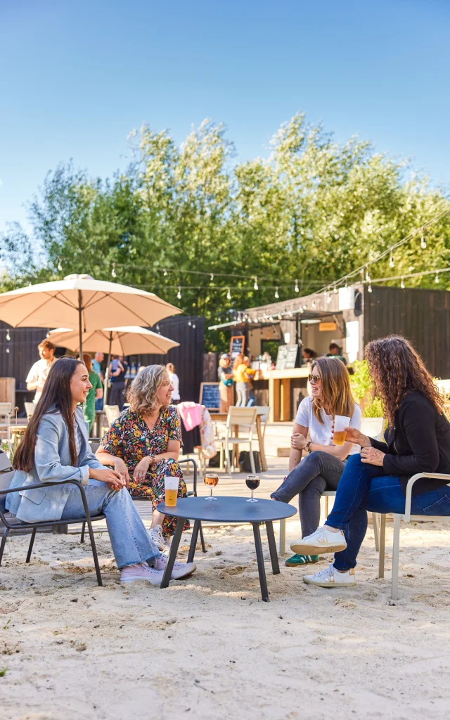 4 women drinking and discussing