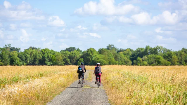 Balade sur les chemins de l'île Saint-Aubin