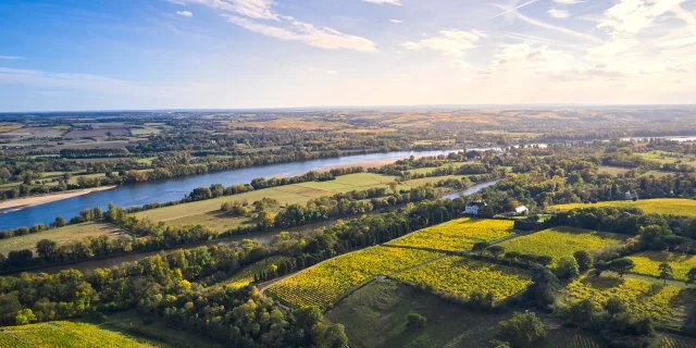 vignoble-savennieres.jpg