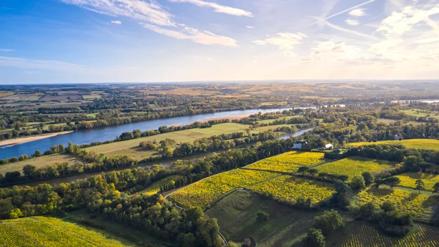 Vue aérienne du vignoble de Savennières et de la Loire