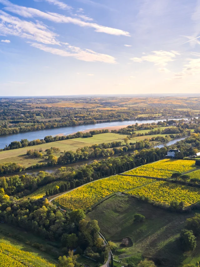 Vue aérienne du vignoble de Savennières et de la Loire