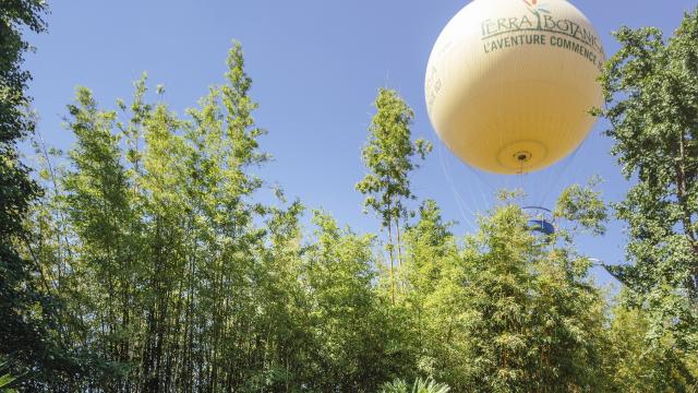 Balloon of the park Terra Botanica