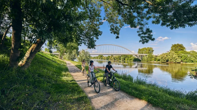 3 jeunes se baladant à vélo au bord de l'eau, pont Confluences en fond.