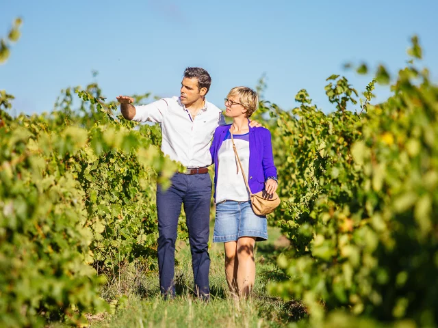 Wandering around Savennières vineyard