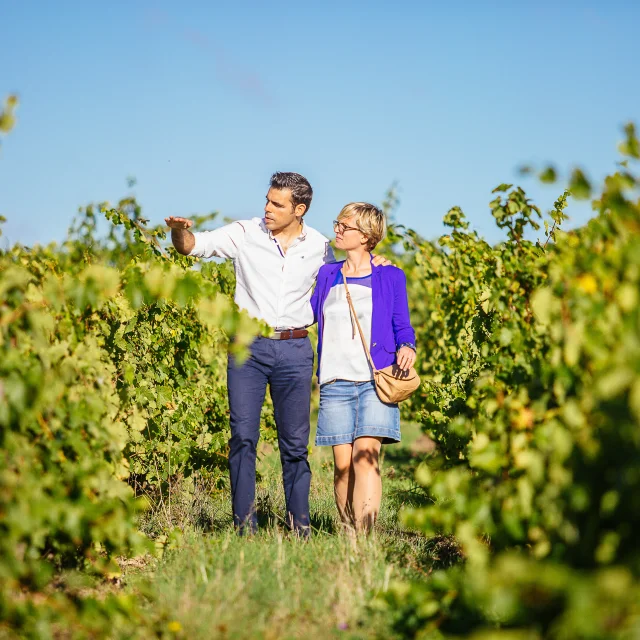 Couple se baladant au milieu des vignes