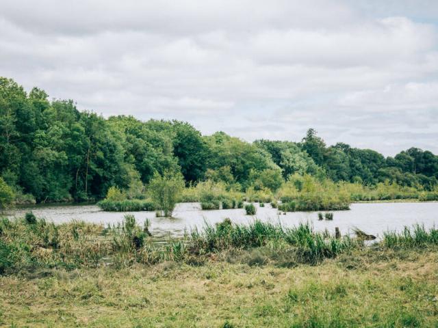 La Mayenne à Montreuil Juigné