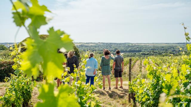 View from the Roche-aux-Moines in Savennières