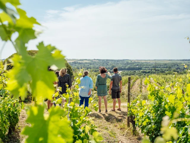 View from the Roche-aux-Moines in Savennières