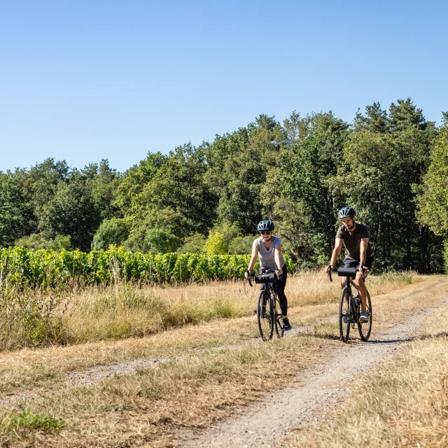 Deux personne en vélo gravel dans le vignoble