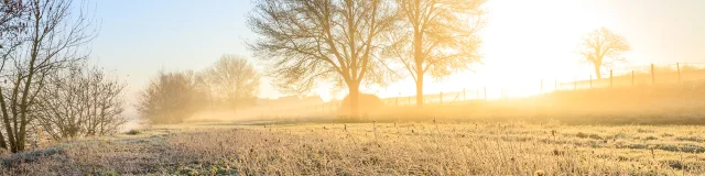 Randonnées et balades d'hiver à Angers