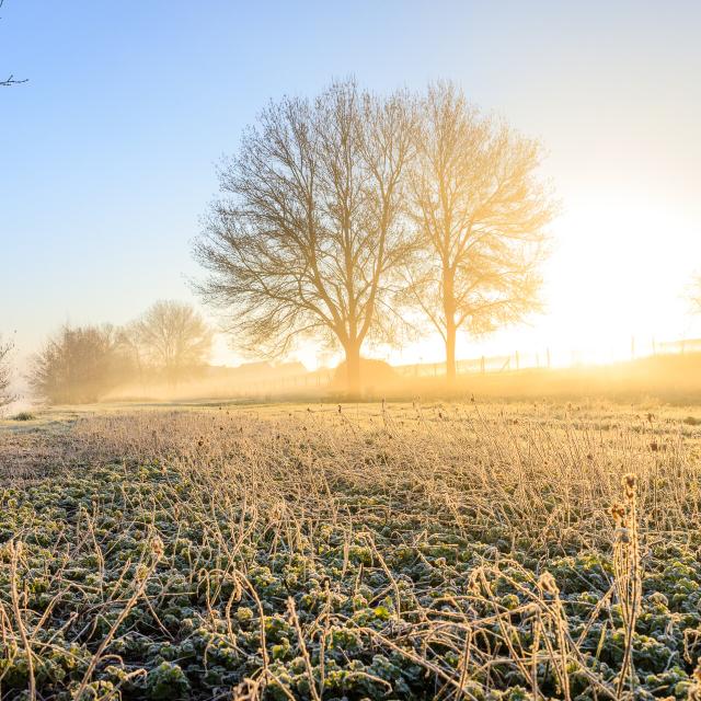 Rives_du_Loir-Copyright-Dorothee_Mouraud___Destination_Angers-Destination_Angers-6639-1920px.jpg