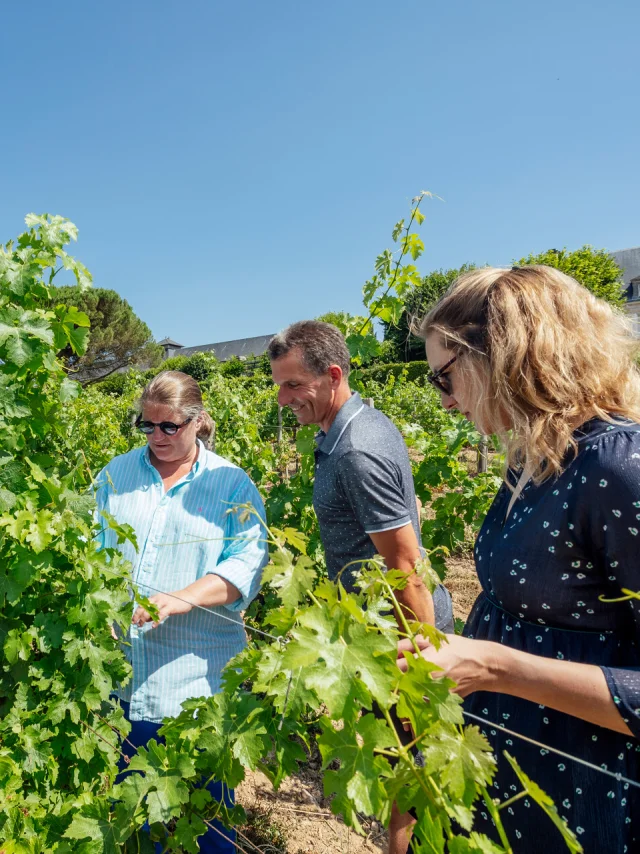 Des amis à la découverte des vignobles