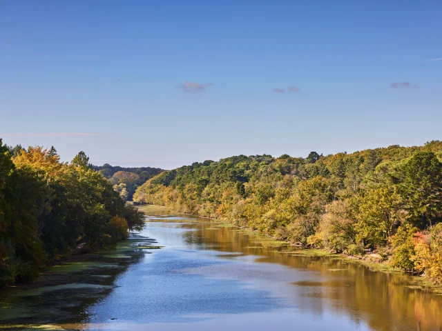 Plan large sur l'étang et le parc Saint-Nicolas à l'automne