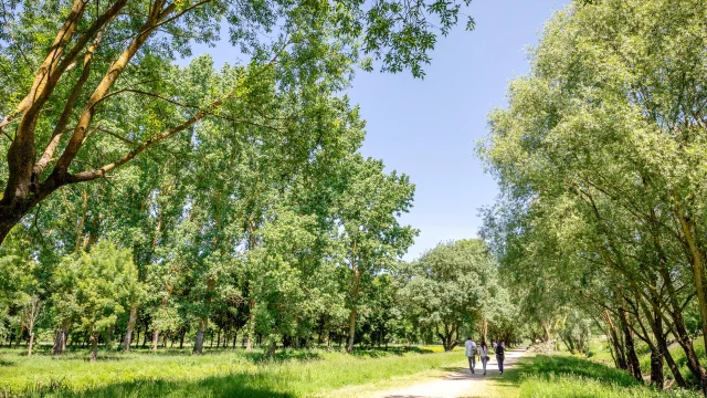 Personnes se promenant dans le parc Balzac en été