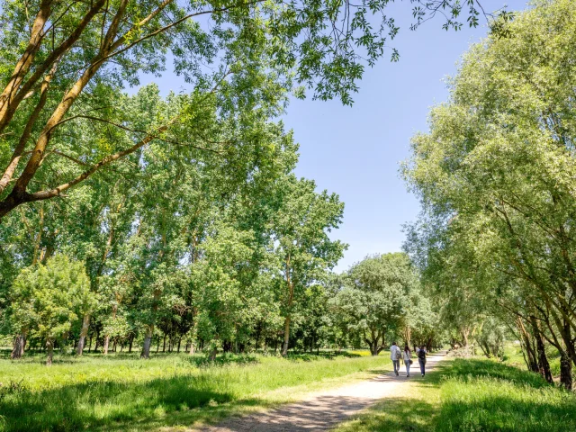 Personnes se promenant dans le parc Balzac en été