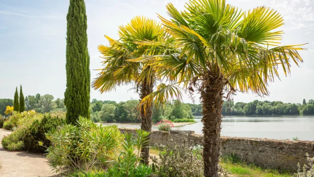 Mediterranean garden