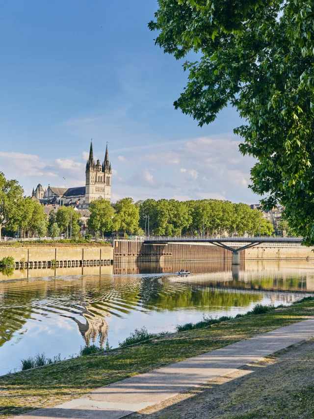 Bord de Maine à Angers