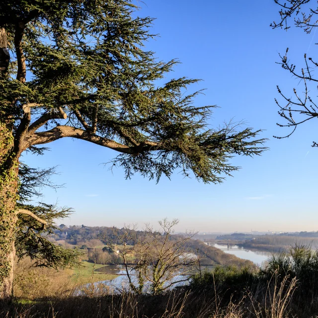 View of Angers and the Maine from lookout point of La Piverdière, in winter