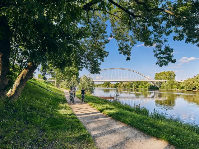 Chemin de halage à Angers