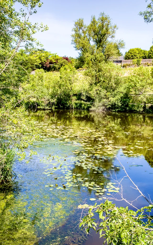 Etang Saint Nicolas Angers