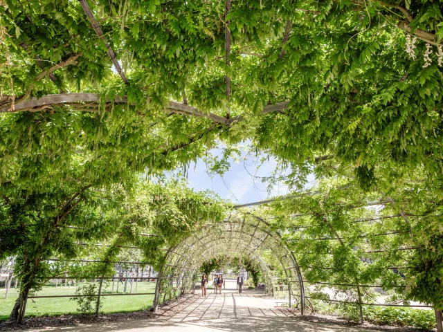 Promenade Jean Turc