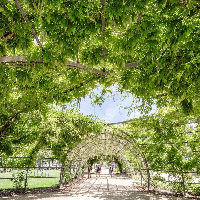 Promenade Jean Turc