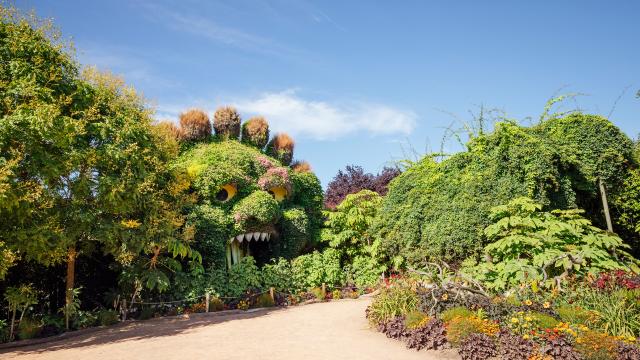 A walk through Terra Botanica