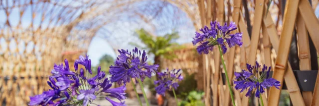 Fleurs dans le parc de Terra Botanica