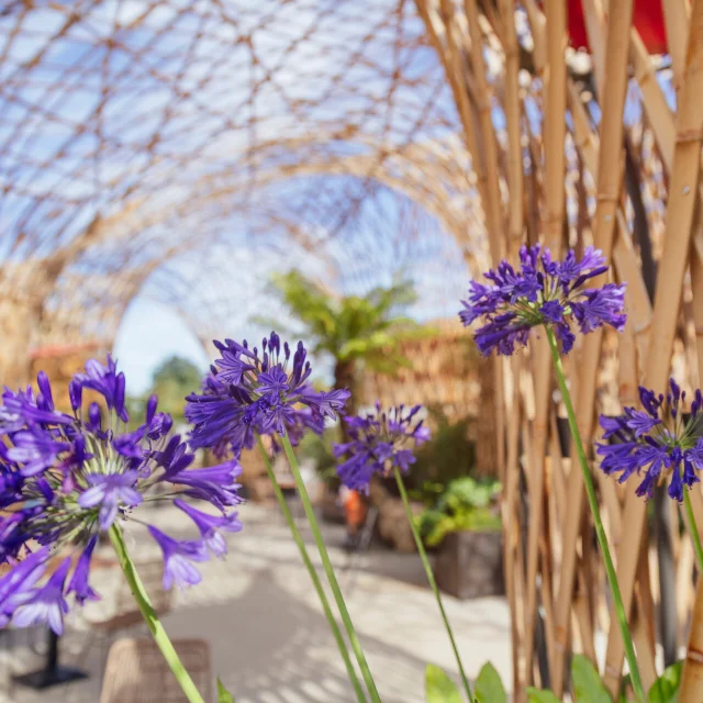 Flores en Terra Botanica