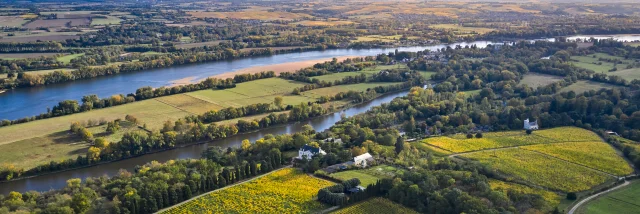 Aerial view of the vineyards of Savennières and the Loire, in early autumn