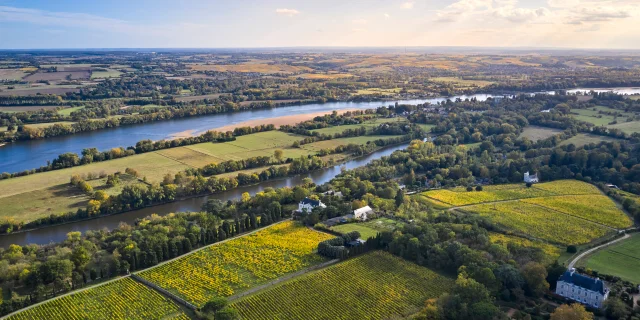 Vue aérienne sur le vignoble de Savennières et la Loire, au début de l'automne