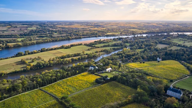 Aerial view of the vineyards of Savennières and the Loire, in early autumn