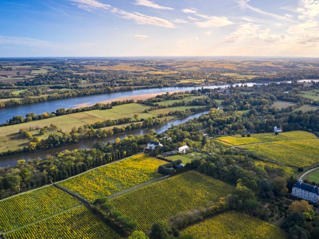 Aerial view of the vineyards of Savennières and the Loire, in early autumn