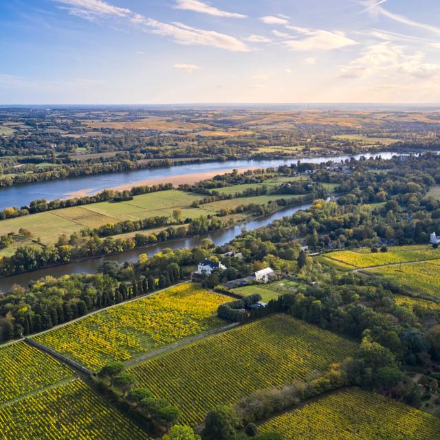 Aerial view of the vineyards of Savennières and the Loire, in early autumn