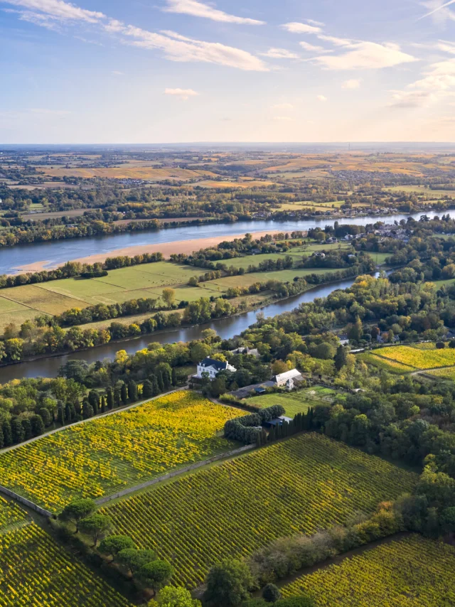 Aerial view of the vineyards of Savennières and the Loire, in early autumn