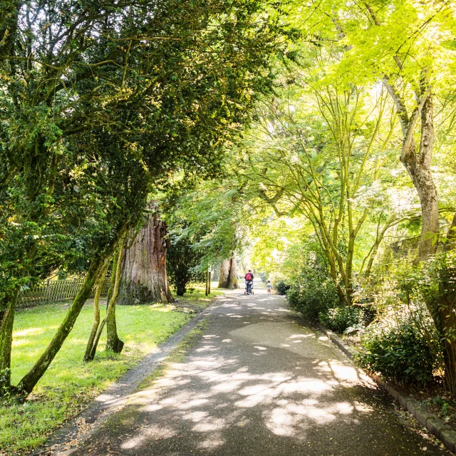 Arboretum Gaston Allard