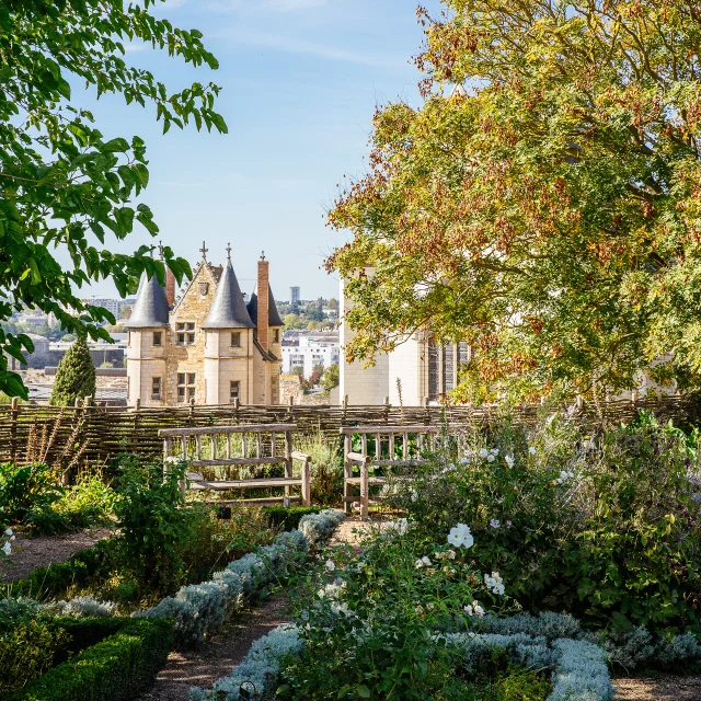 Flore des jardins du château d'Angers