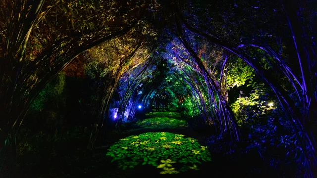 Plant passage lit up at night